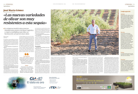 «Las nuevas variedades de olivar son muy resistentes a esta sequía»